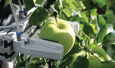 This apple gripper picks fruit ready for market. It mounts on an intelligent robot platform that uses cameras and other sensors to detect the position and ripeness of the fruit as well any obstacles, so it can navigate and harvest independently on farms and in greenhouses. The prototype gripper was developed by Festo for the EU’s Clever Robots for Crops research project.